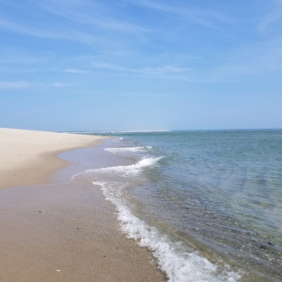 Meet your Posher, Kate - Picture 1 of 1